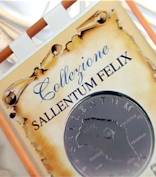 Sallentum Felix: la collezione di monete dedicata al Salento